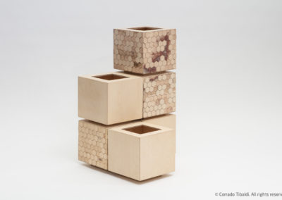 Hex Wood